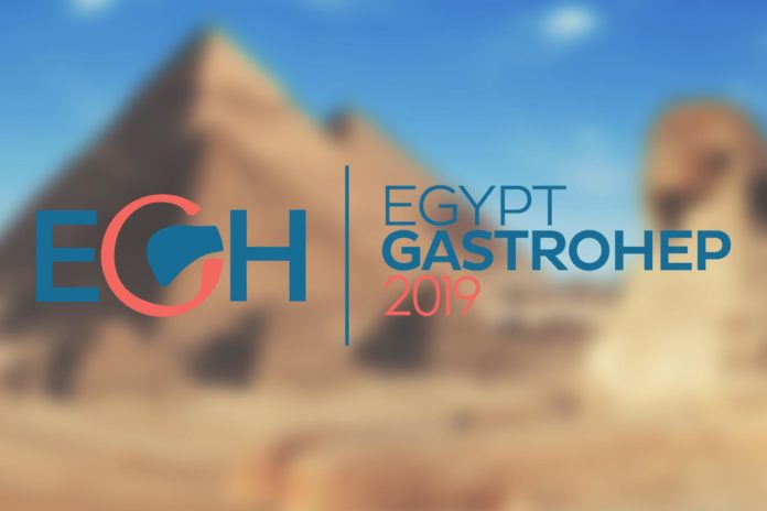 EGH 2019: sei posti disponibili per AGGEI EGH 2019: sei posti disponibili per AGGEI