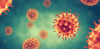corona virus ace inibitori