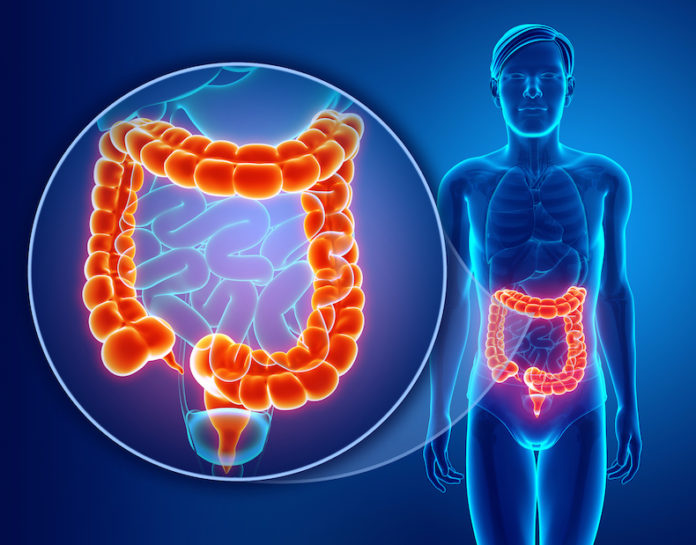 Colon covid gastroenterologo Colon covid gastroenterologo