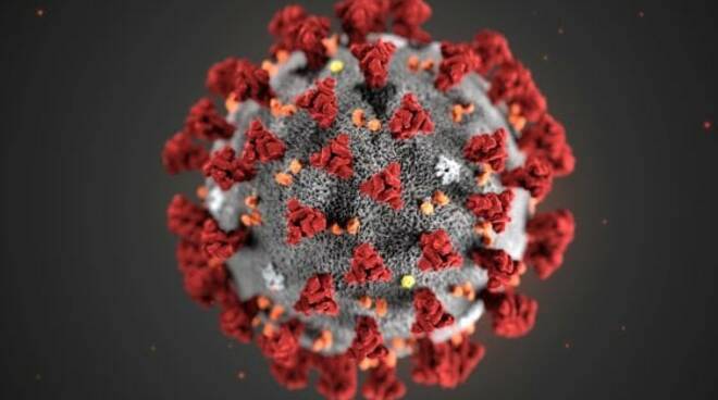 coronavirus covid-19