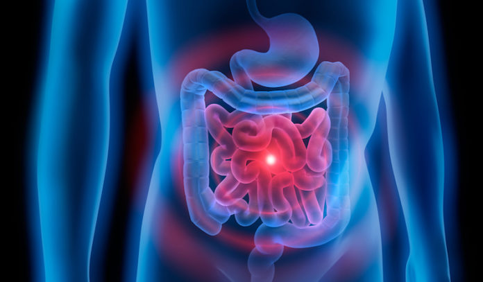coronavirus intestino