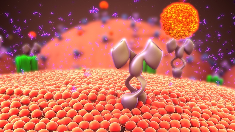 coronavirus colon sintomi