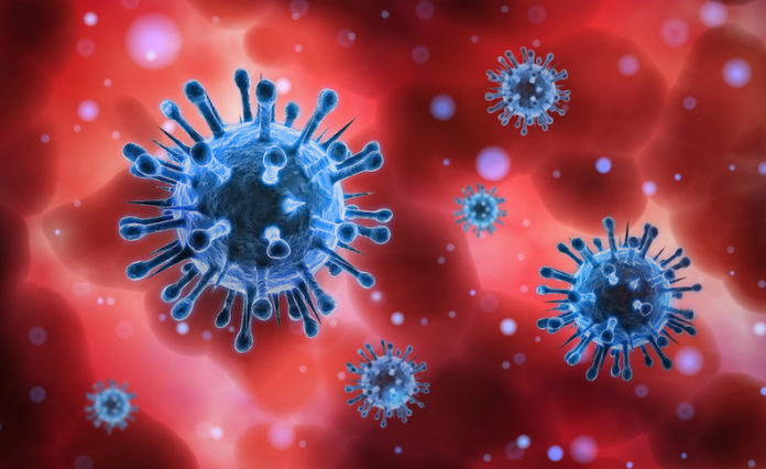 Virus im Blut