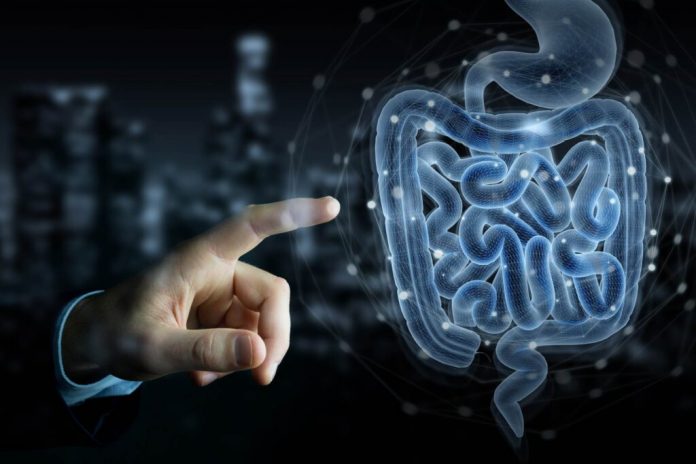 dieta mediterranea microbiota