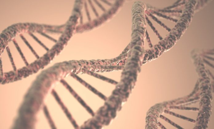 DNA GERD reflusso
