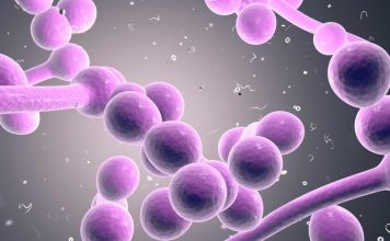 candida tropicalis microbiota